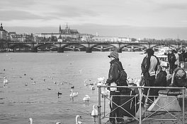 Praha v zimě 2015